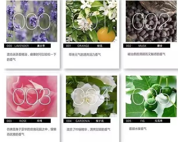 颜控必看,颜控十大必买品