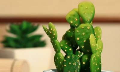 牙很痛怎么办一招解决牙痛,牙痛一招立马止痛牙齿烂一半