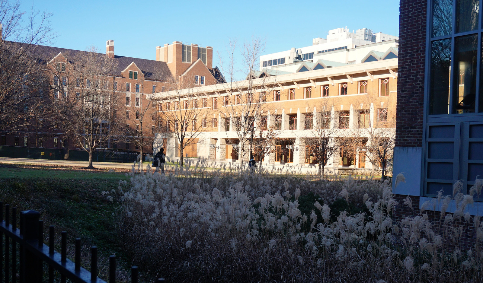 美国大学排行榜最新排名,2022年美国大学排名前100