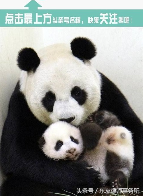 幼儿园家长问孩子受伤了怎么回答,宝宝在幼儿园受伤家长应该怎么说