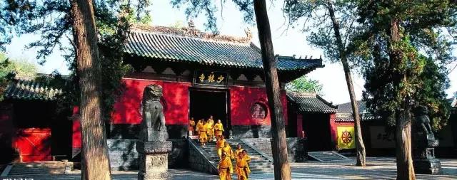 众里寻她千百度视频,众里寻她千百度作品