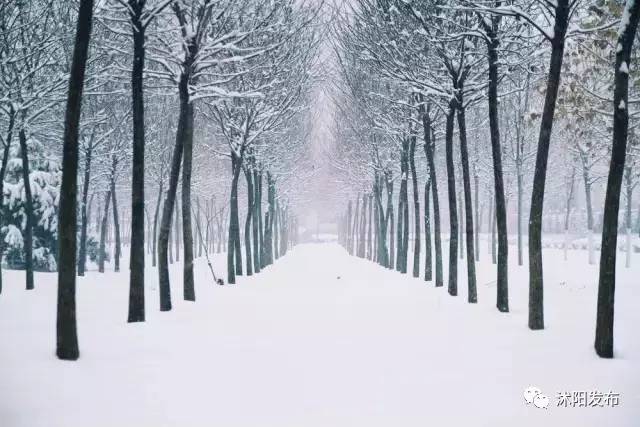 沭阳，没想到你是这样一座城市……