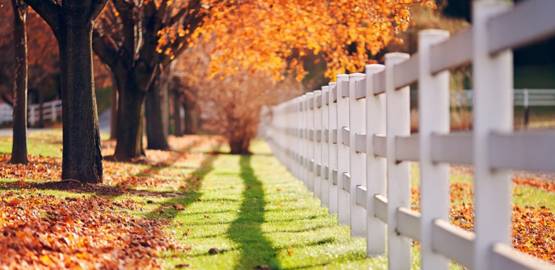 世界拉丁舞音乐节奏感强的,一个动感十足的舞蹈