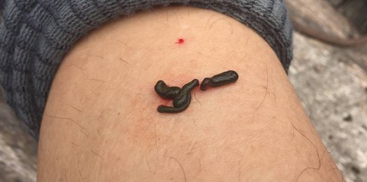 不被蚂蟥咬一次，怎能算走过墨脱｜徒步墨脱大结局