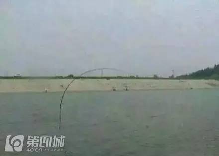 冲壳子丨自从买了这件衣服，去哪吃饭都不要钱！你值得拥有！