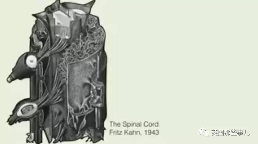 在苹果片上“种”出人耳？！这不是恐怖故事，是脑洞大开的医学新方向啊喂！