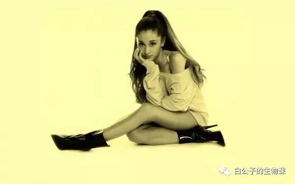 想要一个炒鸡美腻的长马尾吗？这里告诉你怎么做