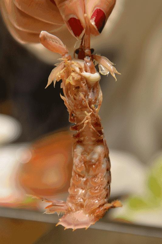 网红豪华坐骑皮皮虾,失踪后再现魔都竟然是在这里,带走它唯一的方法就是……