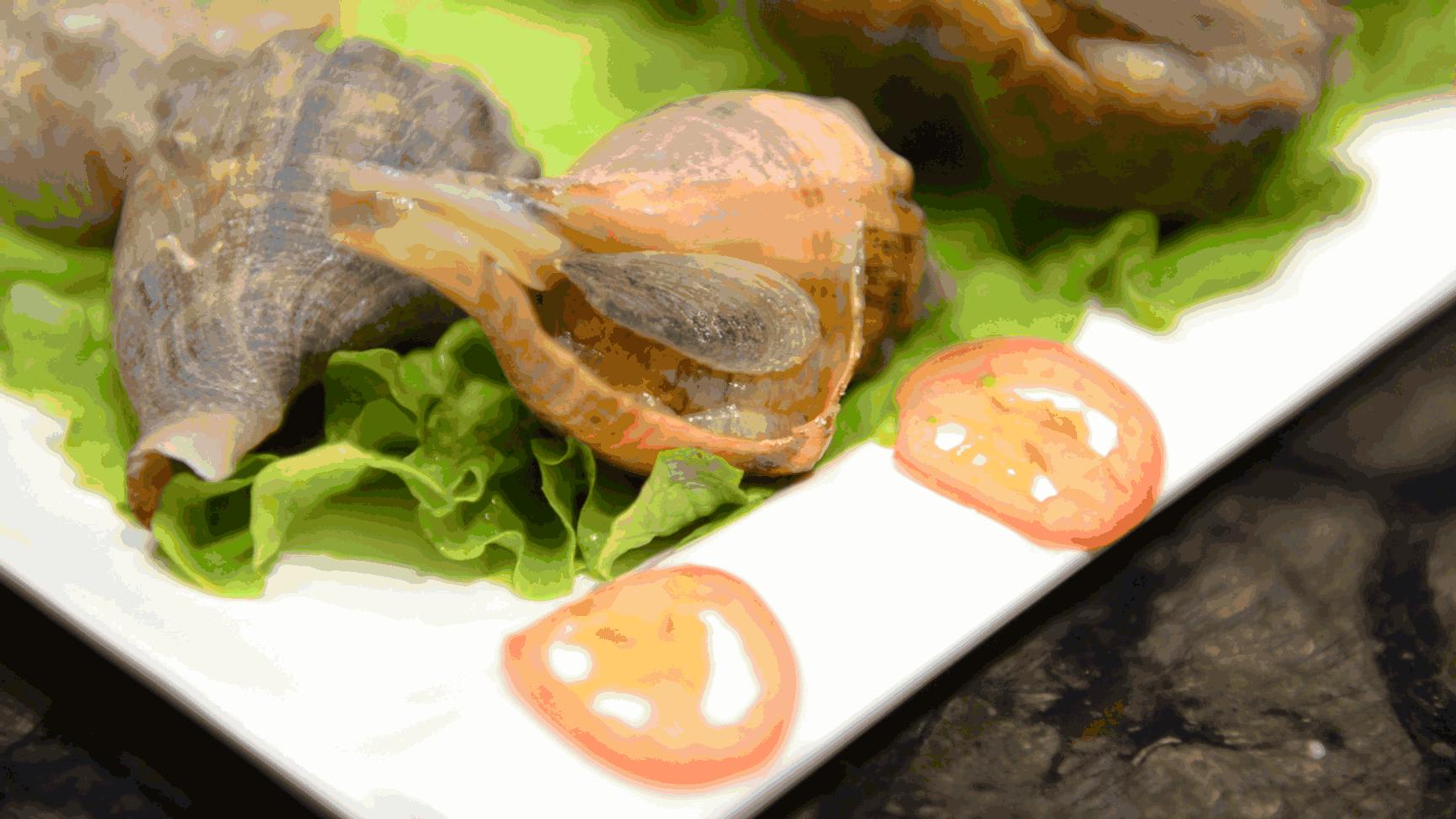 网红豪华坐骑皮皮虾,失踪后再现魔都竟然是在这里,带走它唯一的方法就是……