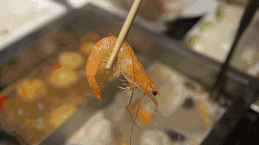 网红豪华坐骑皮皮虾,失踪后再现魔都竟然是在这里,带走它唯一的方法就是……