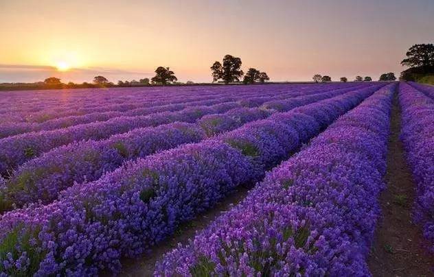 滨河新区,银川滨河新区以后怎么样