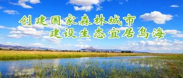 3月1日起不带身份证出不了乌海……