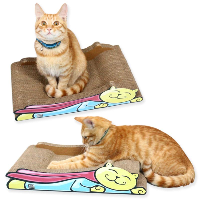 猫咪来到新家不吃不喝咋办,新到家猫咪不吃猫粮怎么办