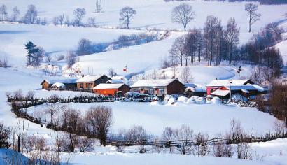 冬已去春将至配图,冬已去春归来此时花正开