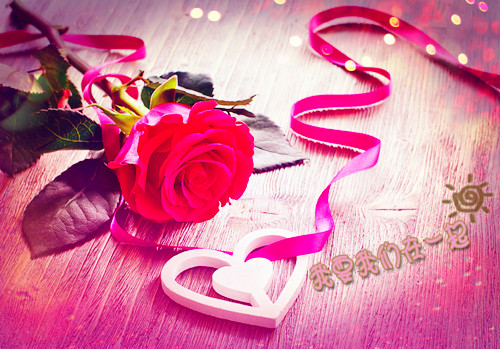 唯美意境的句子带图片,小清新绿色唯美图片