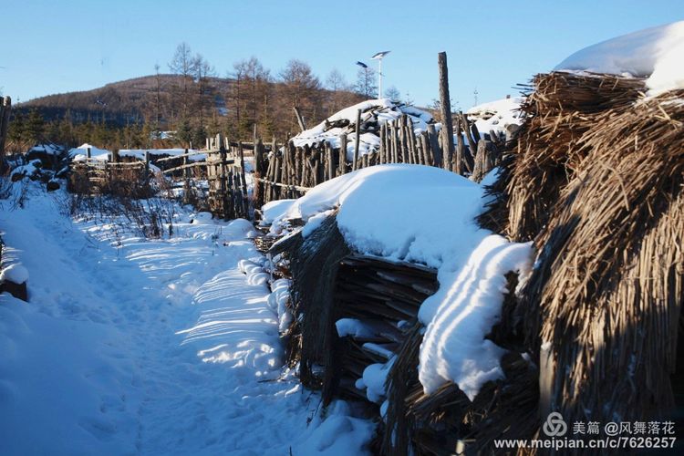白狐千年等待只为今生相遇,白狼一生只爱一人