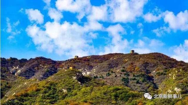 北京赏花踏青自驾游,北京国家森林公园踏青