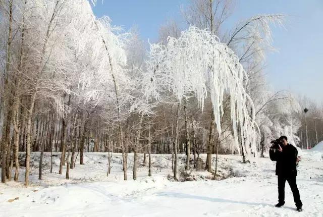 内蒙古通辽市奈曼旗沙漠旅游景点,内蒙古通辽沙漠旅游景点