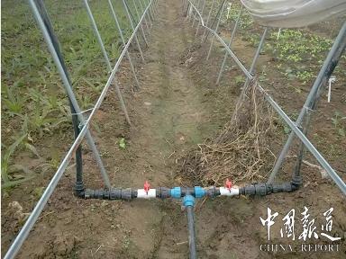 江西沃邦农科技术值得推广