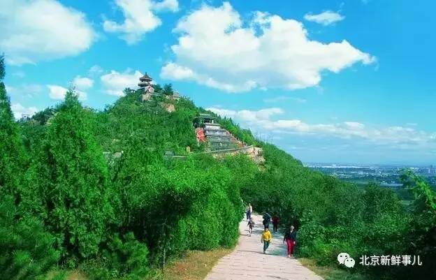 北京赏花踏青自驾游,北京国家森林公园踏青