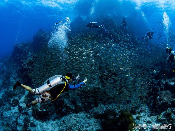 苏梅岛自由行旅游攻略大全,苏梅岛旅游攻略自由行