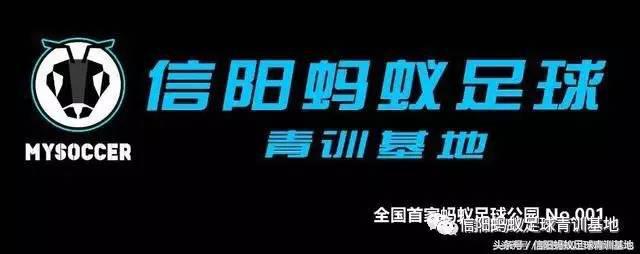 2017“我爱足球”信阳市康乐体育城足协杯四分之一决赛集锦