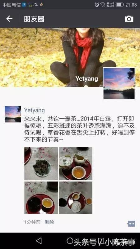 15年白露茶散茶,2019年的白露茶