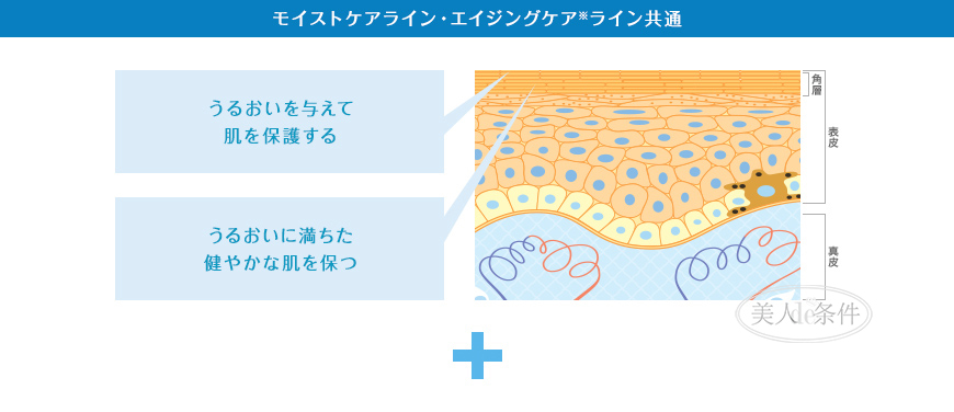 揭秘化妆品各种品牌,盘点化妆品行业不可告人的秘密