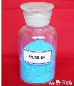 对虾纤毛虫处理方法,对虾有纤毛虫有什么影响吗