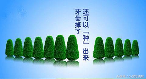 老年人镶牙的类型和价格,老年人镶牙选哪种好