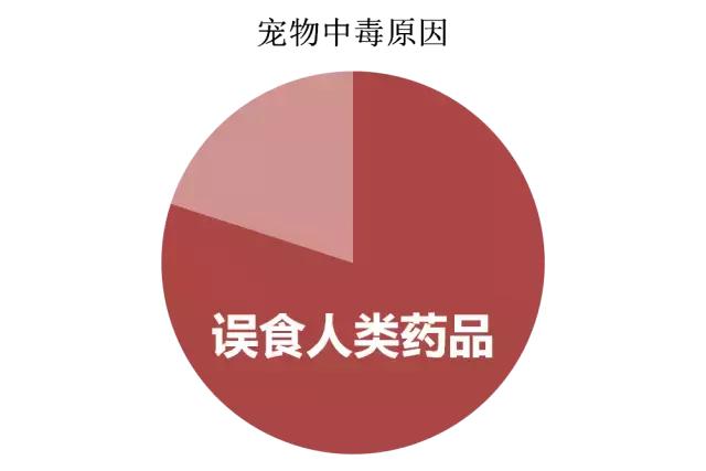 狗狗吃人的药会中毒吗,狗狗吃人用药吗