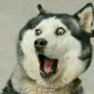 广场舞大妈跳舞把音响给砸了,大妈跳广场舞扰民音响被秀砸