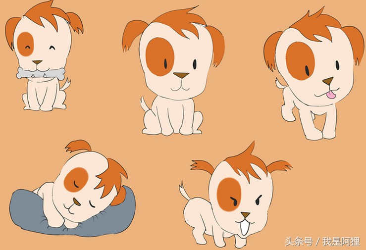 怎样让狗狗晚上不闹,养了2年狗狗晚上总是乱叫怎么办