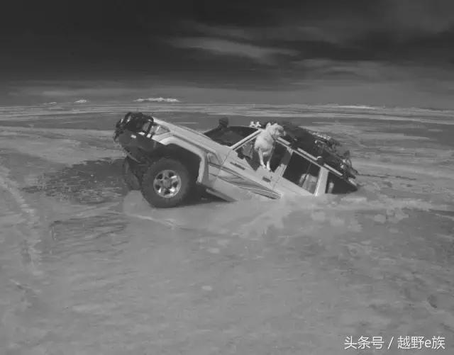 可可西里无人区车沉湖事件,可可西里沉湖事件