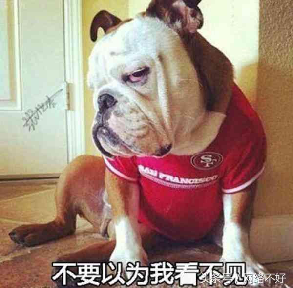 老师讲课上衣,老师上课穿的罩衣