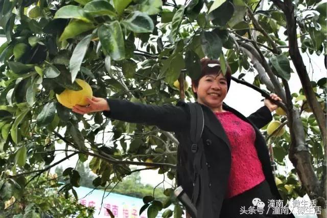 潼南附近的城市好玩的地方,潼南是不是个好地方