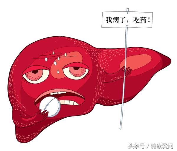 慢性乙型病毒肝炎患者的最佳饮食,肝炎患者吃药好还是不吃药好