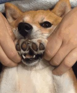 意大利纹身师brando,很厉害的纹身师