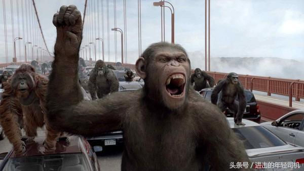 推荐十部关于人与动物的电影,值得一看的动物题材电影