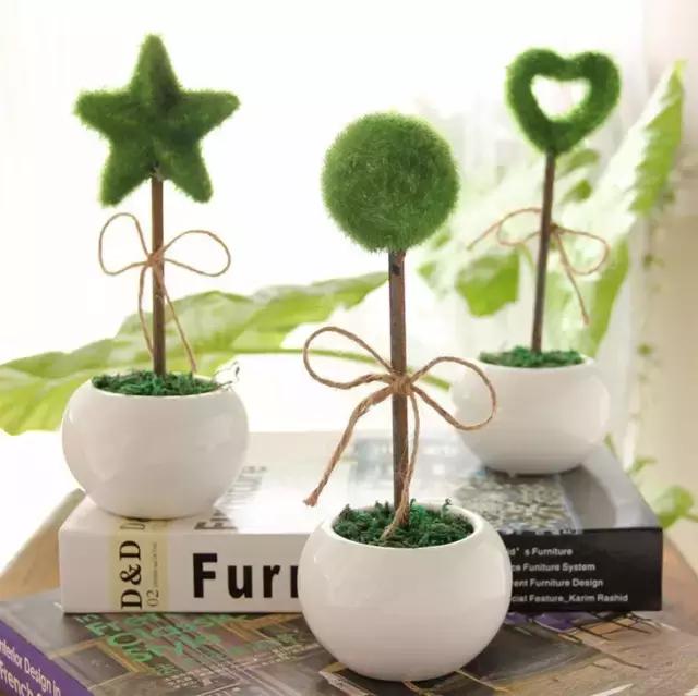 十大室内最好养活的绿植排行榜,绿植大全1000种