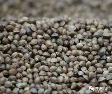 巴马火麻汤哪里最正宗,隐藏最深的中国美食