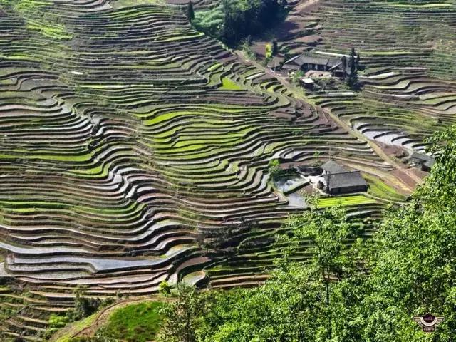 四峨梯田徒步,成都九月四姑娘山徒步一日游