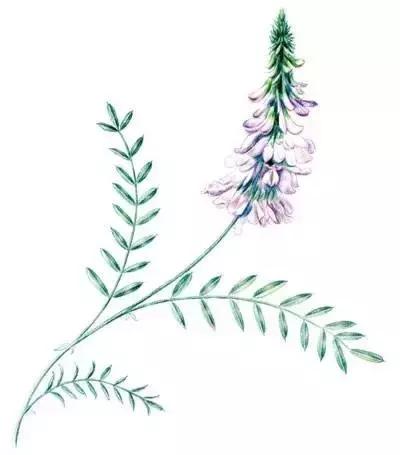 既能降压又能降糖的有效药,治糖尿病的药都是减肥药吗