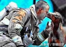 原来动物的世界里也有竞争,动物世界竞争关系