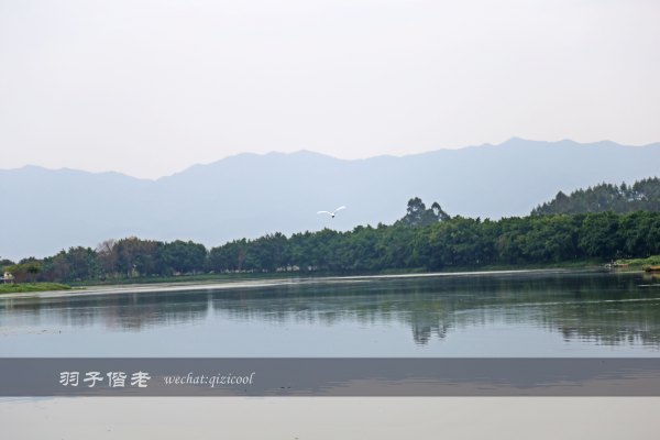 居于涟岸隐于湖，到肇庆体验离尘不离城的精致慢生活