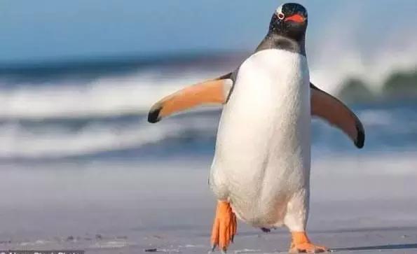 减轻头痛的偏方,有没有什么办法可以减轻头痛