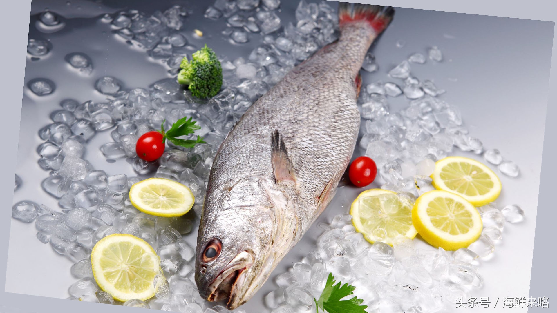 哪种海鱼吃着最简单,哪种海鱼喜欢吃肉