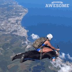 看见刘总从车上拎包下来,跑过去:刘总,我来拿!