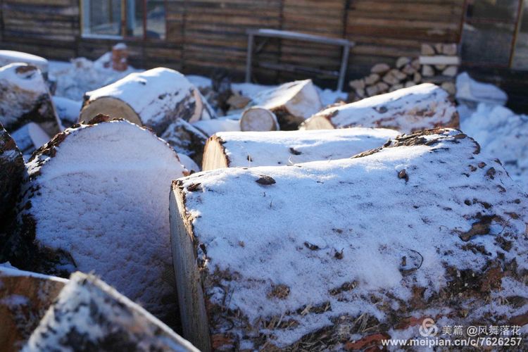 白狐千年等待只为今生相遇,白狼一生只爱一人