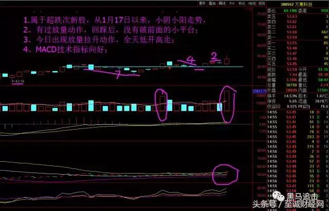 明日黑马股,明日三只黑马股一览